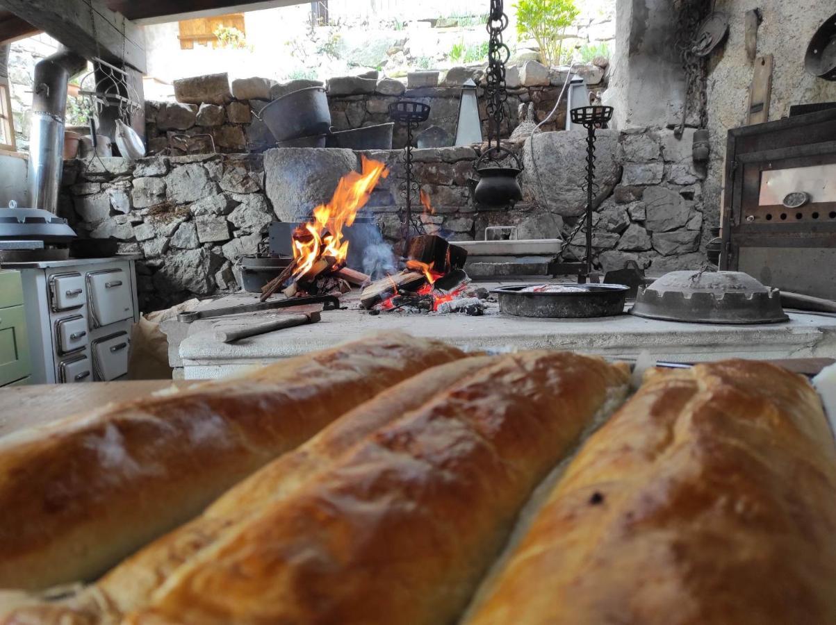 מלון Branik Toncevi Eco Estate מראה חיצוני תמונה